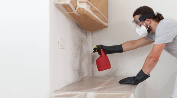 Professional Bathroom Mold Removal technician working in Poolesville, MD